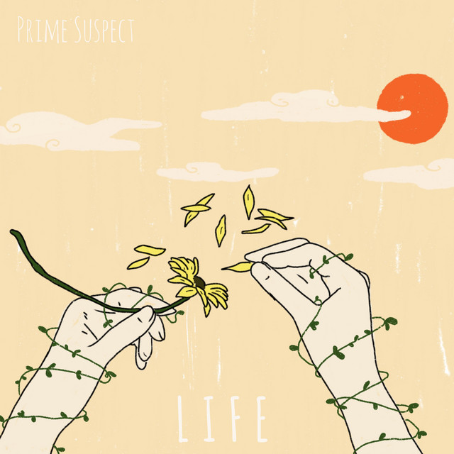 Life cover art