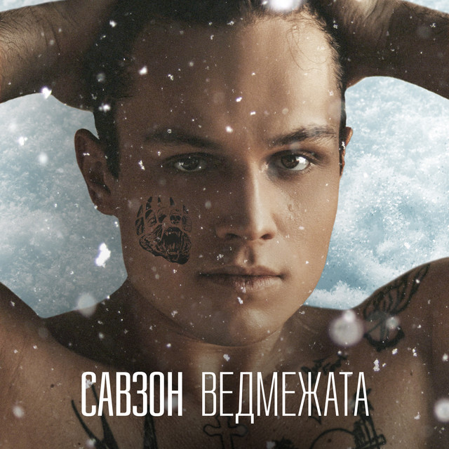 Обкладинка: Ведмежата — Савзон