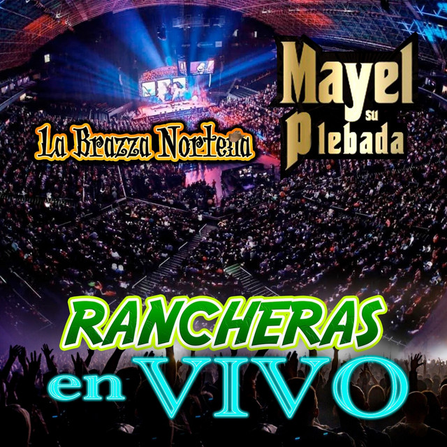 Me Gustas Mucho - En Vivo cover art