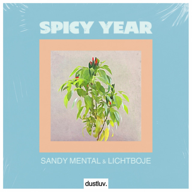 Spicy Year