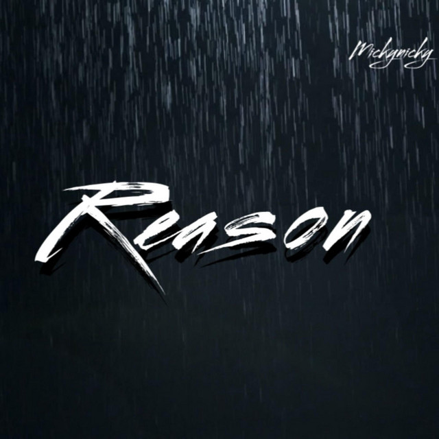 Reason cover art
