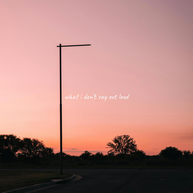 what i don't say out loud cover art