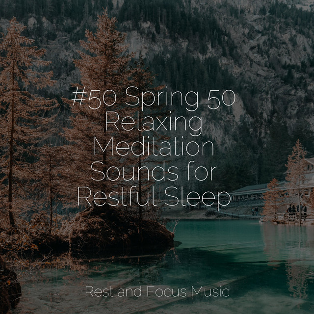 #50 Spring 50 Relaxing Meditation Sounds for Restful Sleep - Album by ...