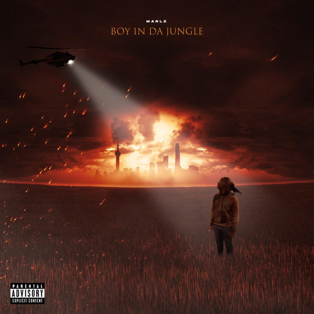 Boy In Da Jungle cover art
