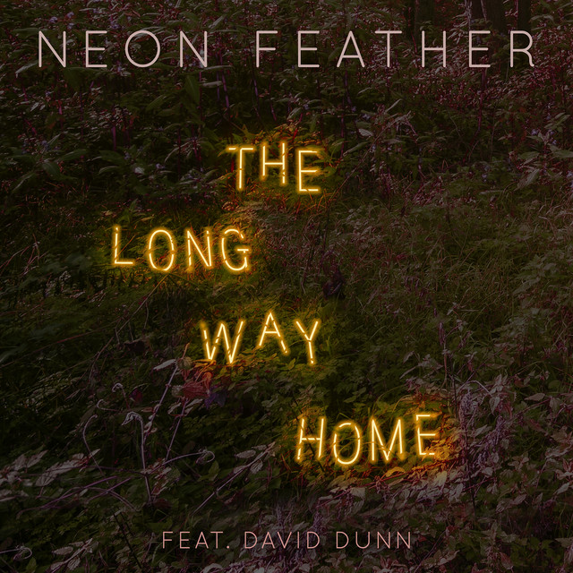 The Long Way Home