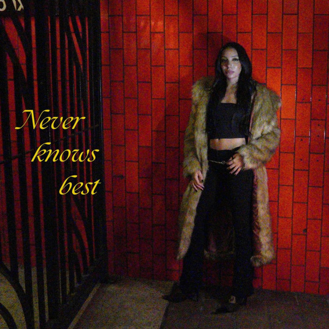 undefined album image