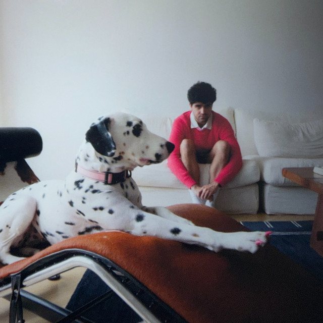 Dalmatian album image