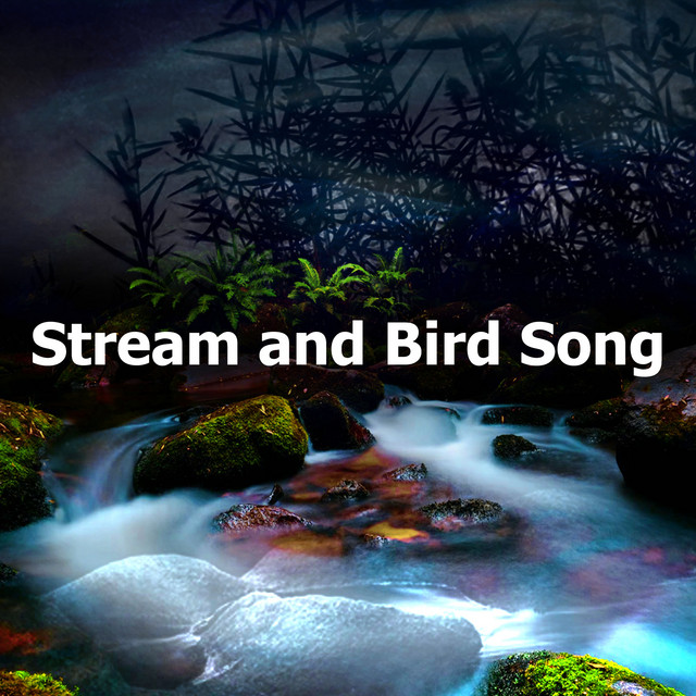 Stream and Bird Song - Album by Nature Sounds - Sons de la nature | Spotify