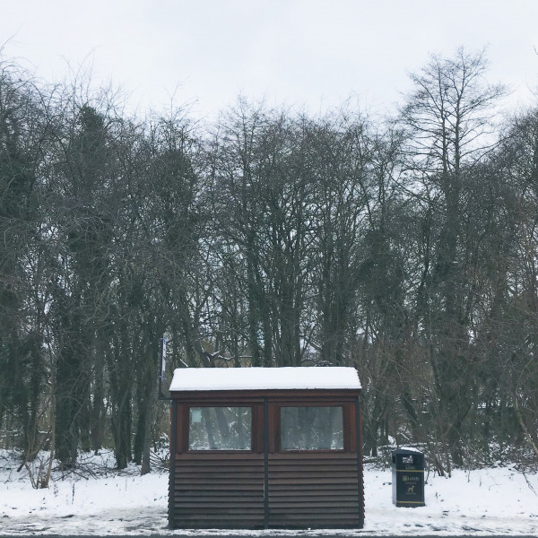 Shelter