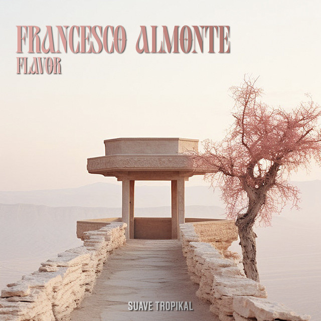 Flavor - Radio Edit - song and lyrics by Francesco Almonte | Spotify