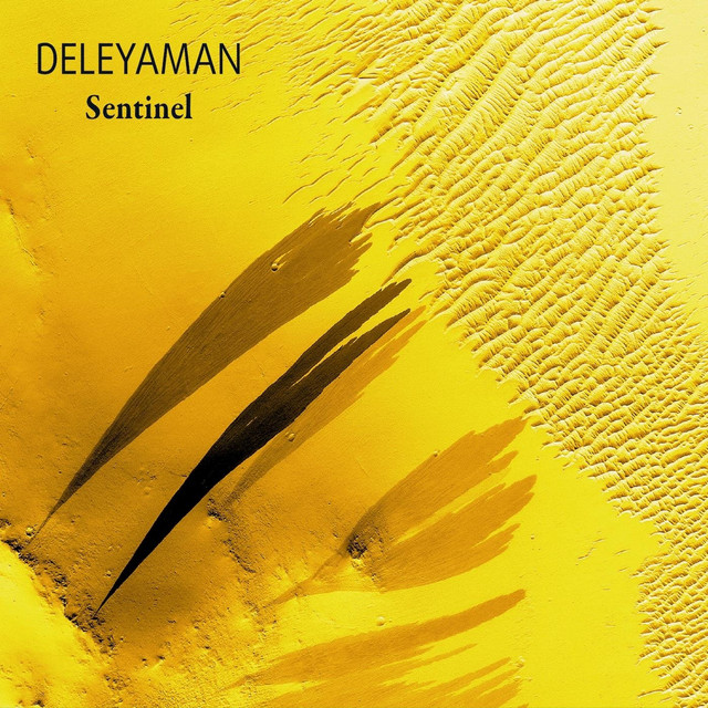 Sentinel cover