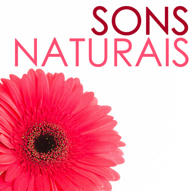 Sons Naturais - Paisagens Sonora para Sono Profundo, Cura Vibracional con Sons da Natureza cover art