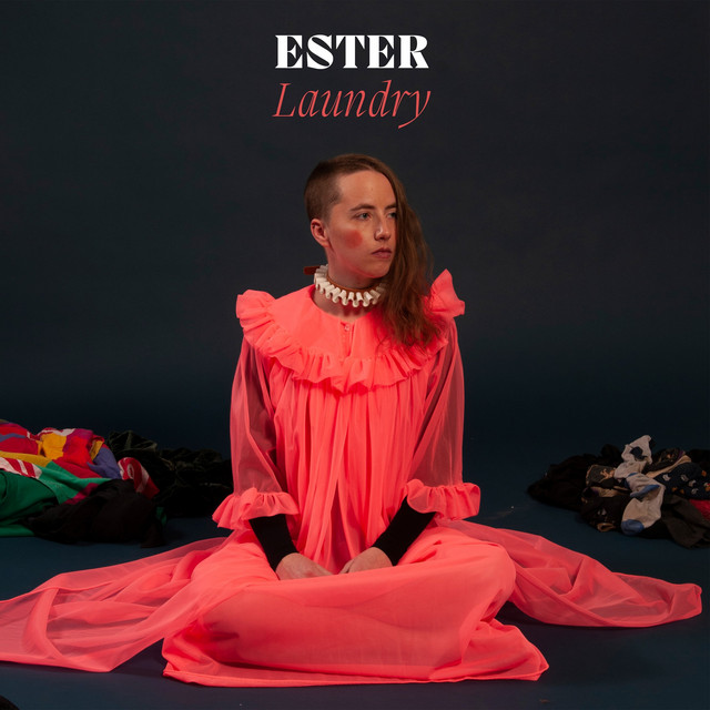 Laundry cover art