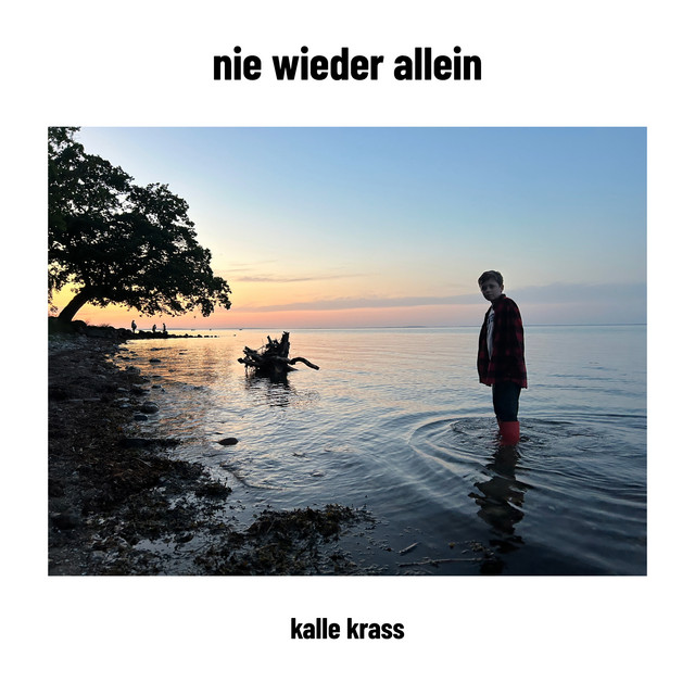 nie wieder allein cover