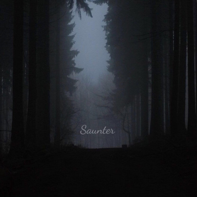 Saunter cover art