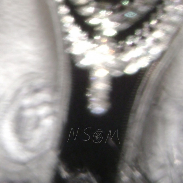 NSOM