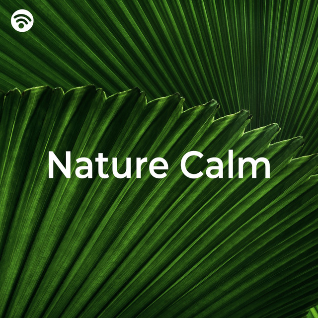 Nature Calm (the Silence of the Forest)
