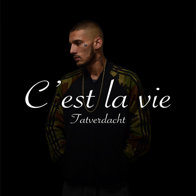 C'est la vie cover art