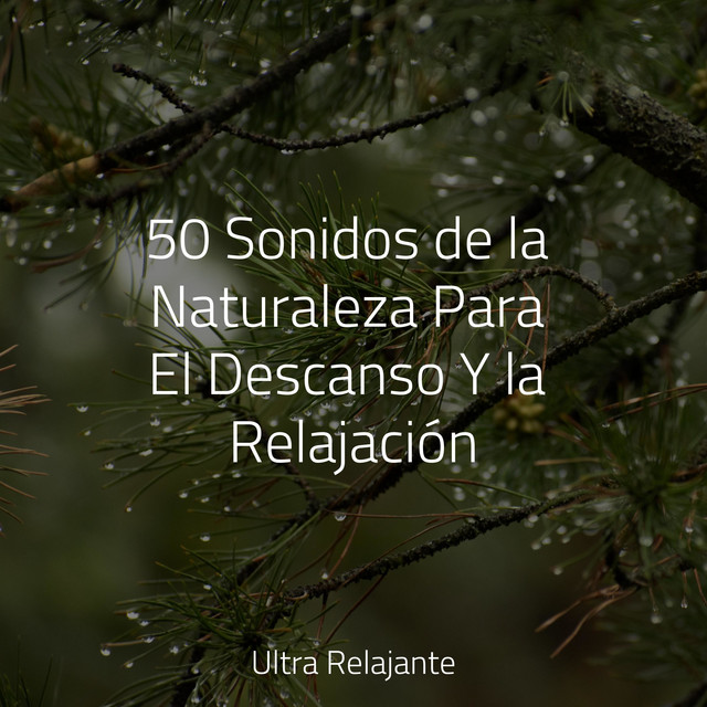 50 Sonidos de la Naturaleza Para El Descanso Y la Relajación - Album by ...