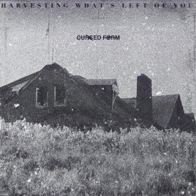 Harvesting What's Left of You album image