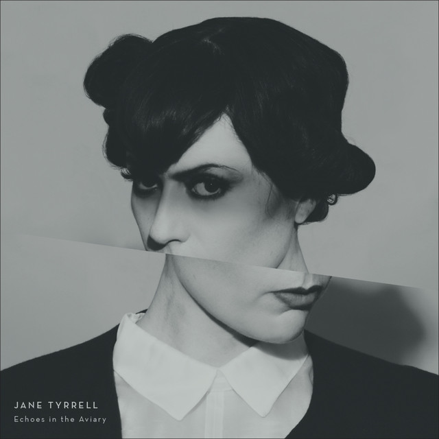 Echoes in the Aviary cover art