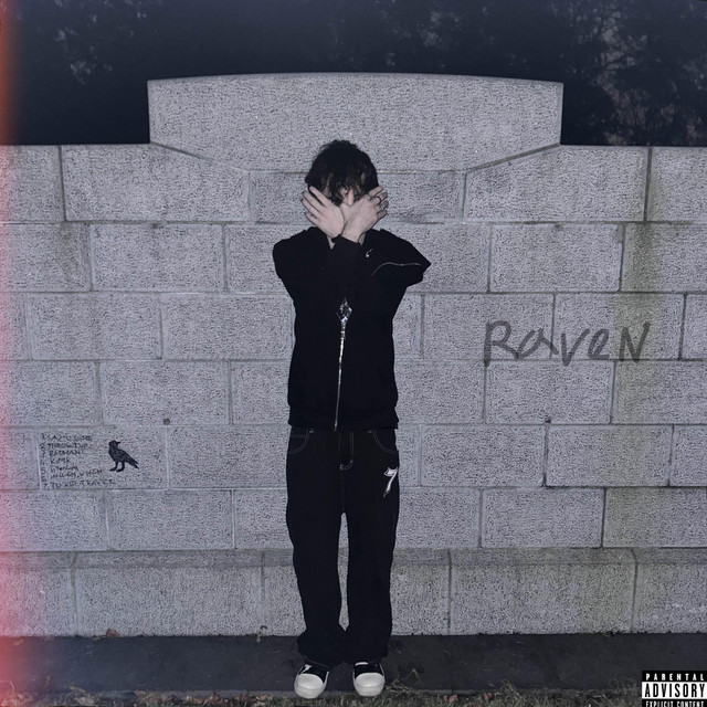 Raven Vol. 1 cover art