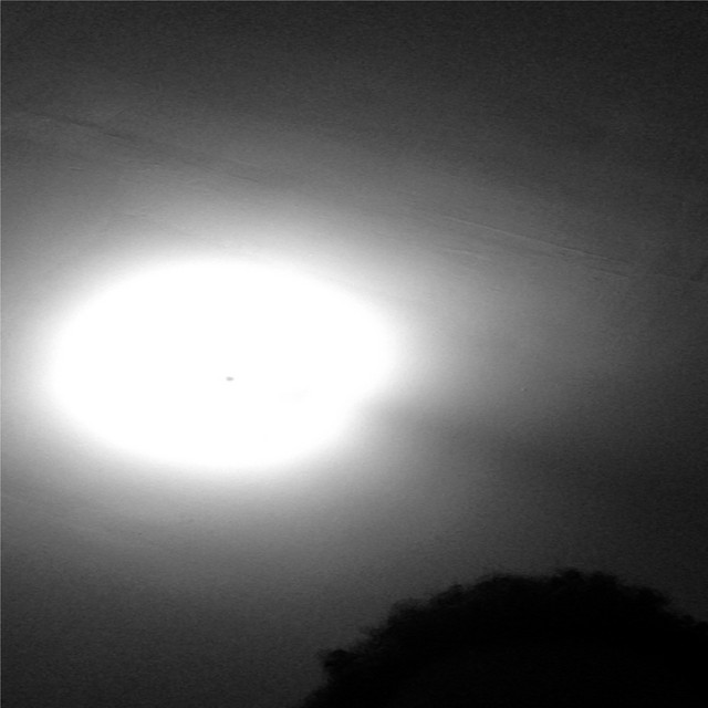whatever/whenever/never cover art