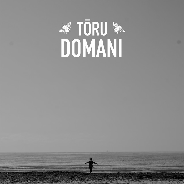 Domani cover art