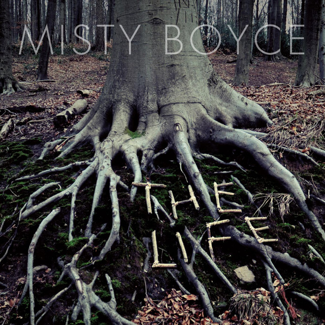 The Life cover art