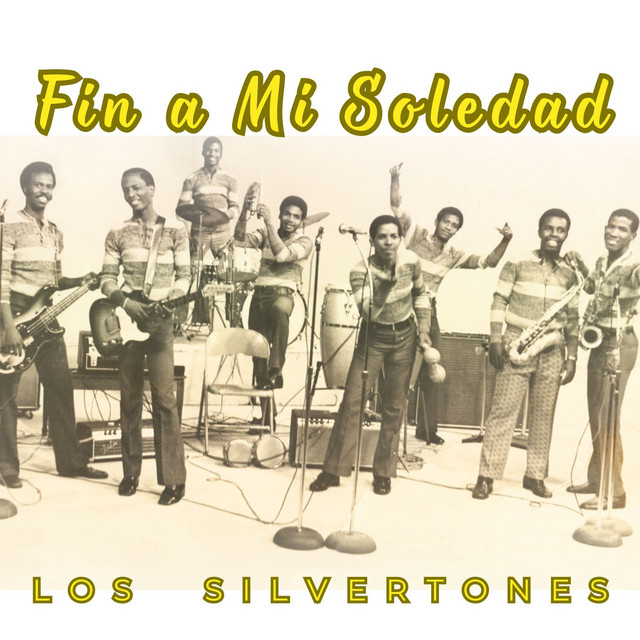Fin a mi soledad cover