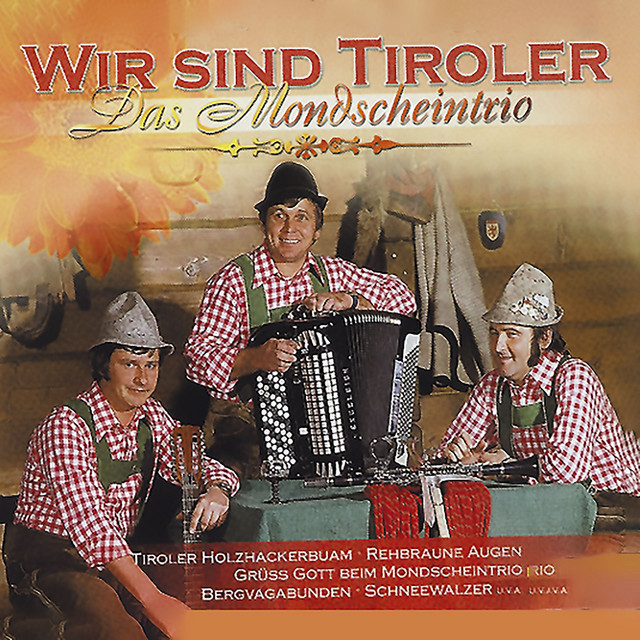 Wir sind Tiroler cover art