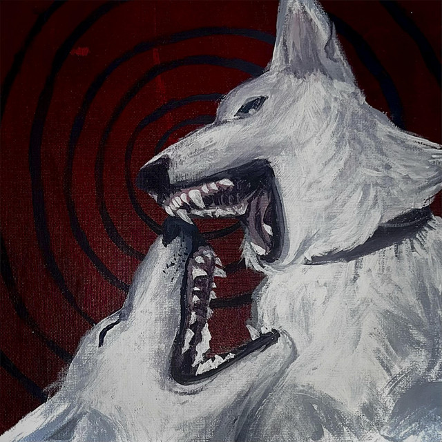 Roadkill cover art