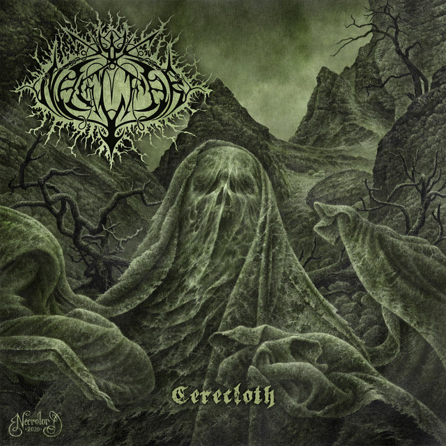 Cerecloth cover