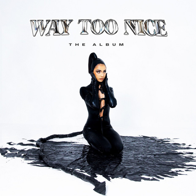 Way Too Nice cover art