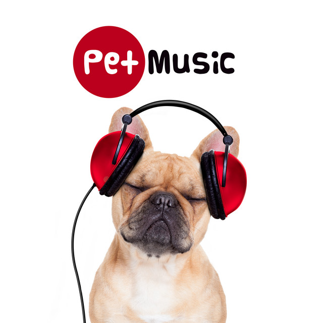 Pet Music - Classical Sounds to Calm Your Dogs cover art