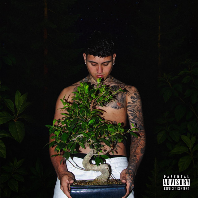 Bonsai cover art