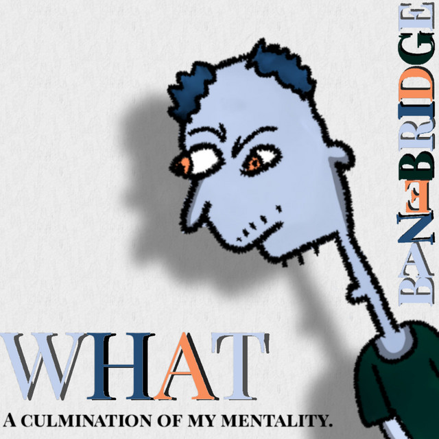 WHAT ; A CULMINATION OF MY MENTALITY. cover art