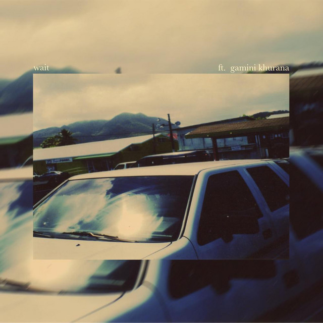 Wait cover art