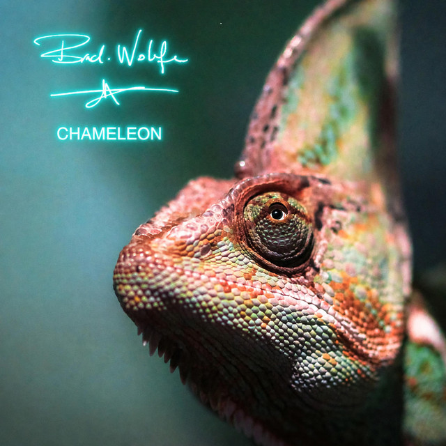 Chameleon cover