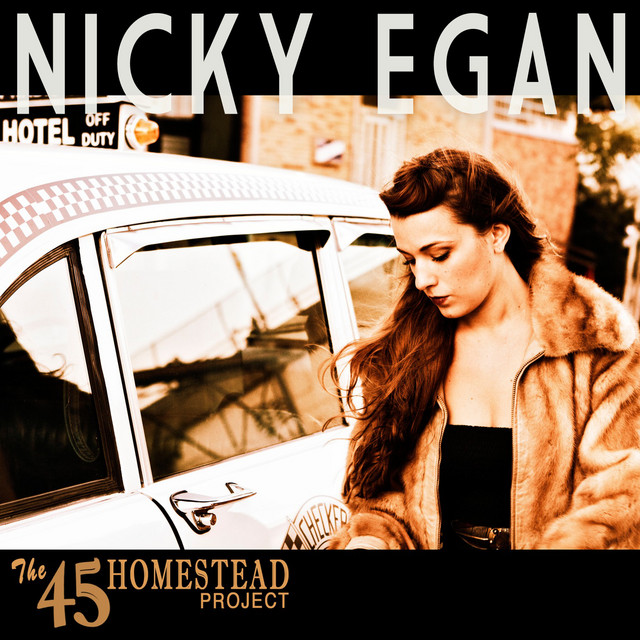 The 45 Homestead Project cover art
