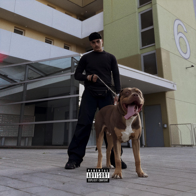 INFORMATION cover art