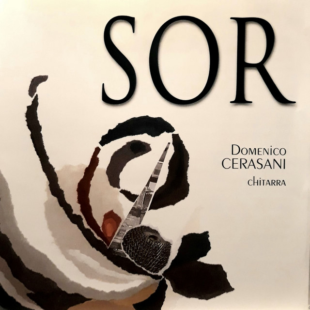Grand sonata per chitarra, Op. 22: Allegro