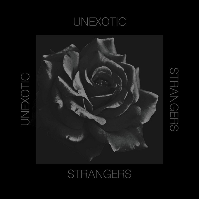 Strangers cover art