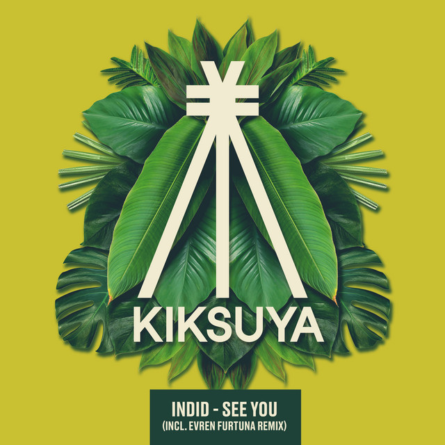 See You - Evren Furtuna Remix