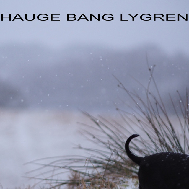 Hauge Bang Lygren