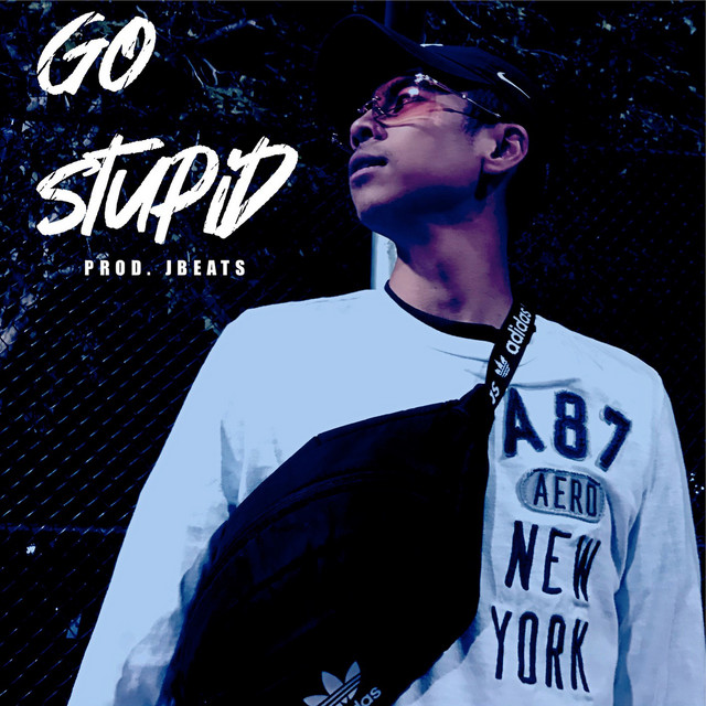 Go Stupid cover