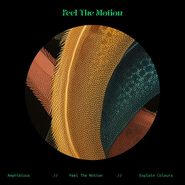 Feel The Motion cover