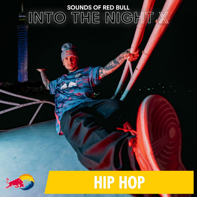 Into the Night X cover art