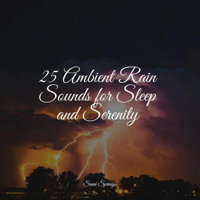 25 Ambient Rain Sounds for Sleep and Serenity - Album by Tranquil Music ...