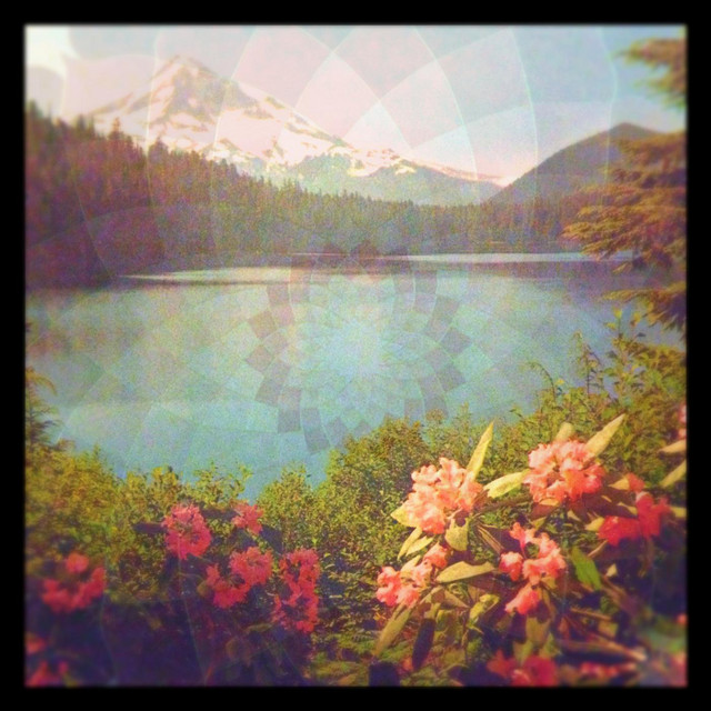 Oasis of Days cover art